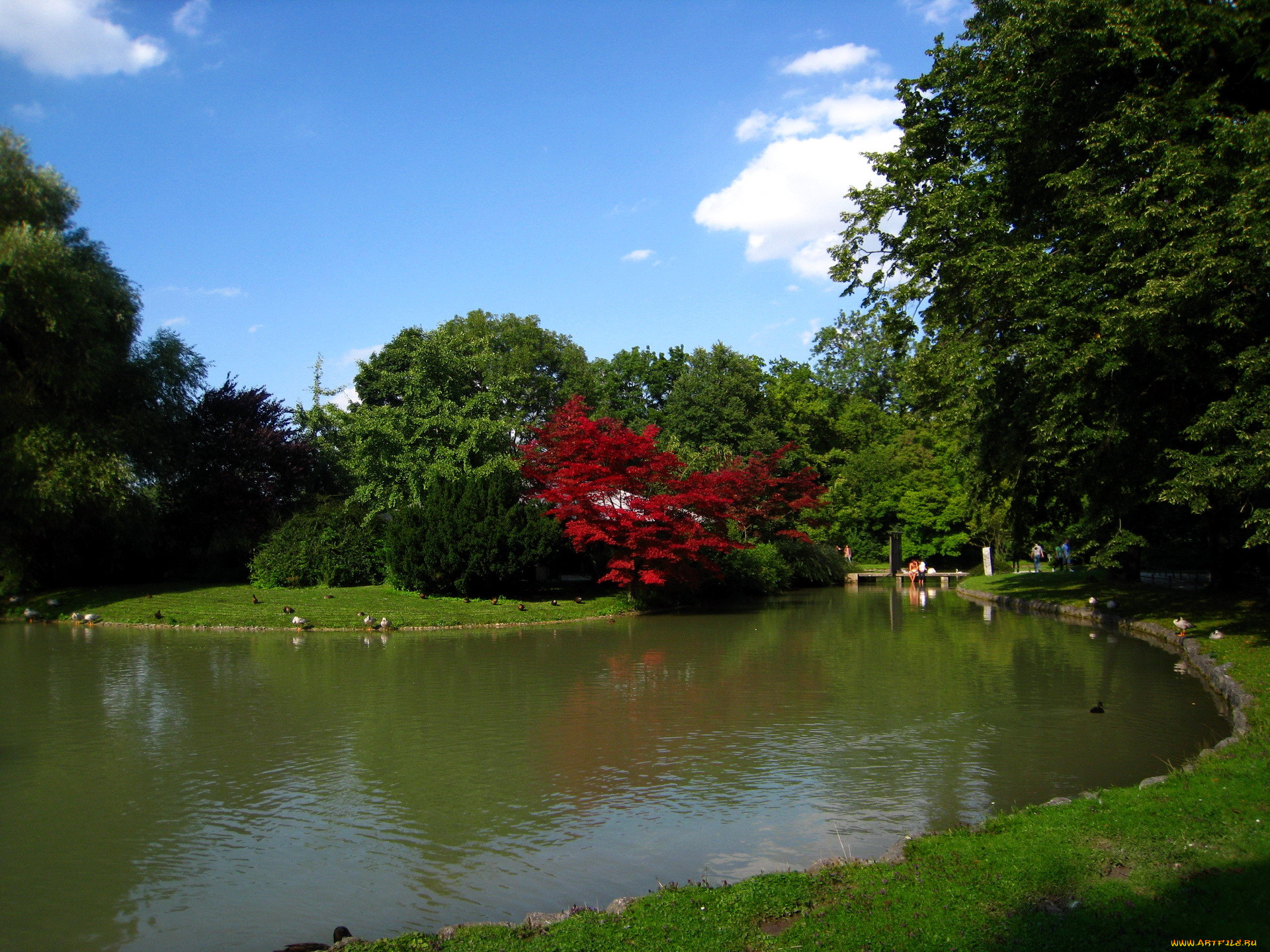 munchen, englischer, park, , 